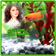 Icône du programme : Aquarium Photo Frames