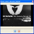 プログラムのアイコン：swf>>avi Converter
