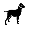 Icon of program: go88 app raft dog