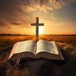 プログラムのアイコン：Versets Bibliques en Imag…