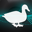 程序图标：Duck Calling  High Qualit…