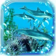 プログラムのアイコン：Dolphins Sounds live wall…