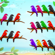Bird Sort Puzzle - Bird Game
