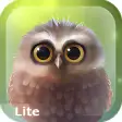 Little Owl Lite
