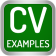 程序图标：CV Examples 2021