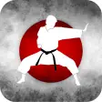 Karate Training - Offline  Online Videos