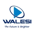 Programikonen: Walesi