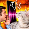 Ícone do programa: Cat Translator - speak en…