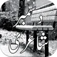 December Urdu Shayari