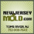 Toms River Mold Remediation icon