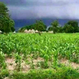 Icon of program: Pulaar
