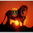 Icon of program: Cimbom Galatasaray El Fen…