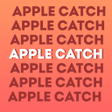 Ícone do programa: APPLE CATCH