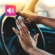 Icon of program: Car Horn Sounds