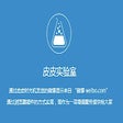 皮皮实验室 icon