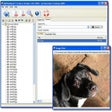 Ícone do programa: MyPixelVault