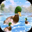 Programın simgesi: Virtual Duck Life Simulat…