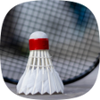 Ícone do programa: Badminton 2D
