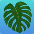 Symbol des Programms: Plant Therapy: NYC Editio…