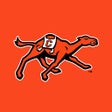 Icon of program: Campbell Fighting Camels