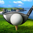 程序图标：WGT Golf