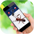 程序图标：Ant Run on Screen Prank