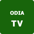 W3 Odia TV