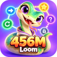 프로그램 아이콘: 456MLoom