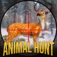 Deer Hunting Clash Hunter Game