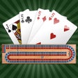 프로그램 아이콘: Cribbage Pro