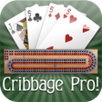 程序图标：Cribbage Pro