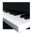 Ícone do programa: My Piano Assistant