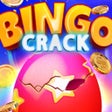 程序图标：Bingo Crack