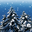 Ikon program: Snowfall Live Wallpaper