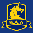 Иконка программы: B.A.A. Racing App