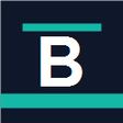 Иконка программы: BugBrief AI