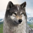 Icon of program: Wolf Game: The Wild Kingdom