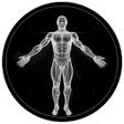 Ícone do programa: BodBot Personal Trainer: …