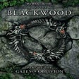 프로그램 아이콘: The Elder Scrolls Online:…