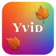 Programın simgesi: Yvid : Video Maker and Ed…