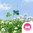 Cute Wallpaper Blue Sky  Clovers Theme