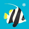 程序图标：Peek-a-Zoo Underwater
