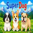 Programikonen: SuperDog