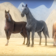 程序图标：Horse racing game