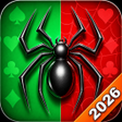 程序图标：Spider Solitaire Classic