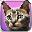 プログラムのアイコン：My Kitten Cat Simulator