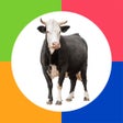 프로그램 아이콘: Preschool Games - Farm An…