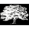 Drzewo Genealogiczne