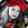 Ícone do programa: Color Pop : Color Splash …