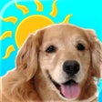 プログラムのアイコン：Sundoggy